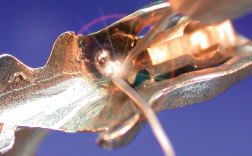 attachment to partial