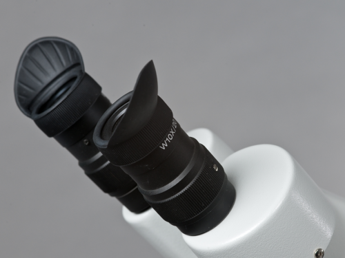 Ausgestattet mit einem qualitativ hochwertigen Stereo-Mikroskop